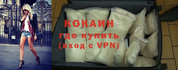 гидра Богданович