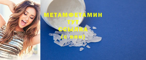 гидра Богданович
