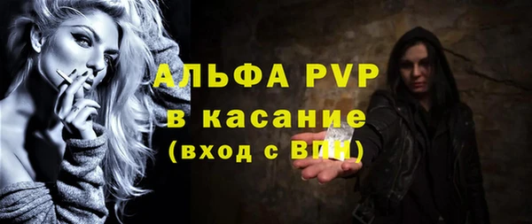 гидра Богданович