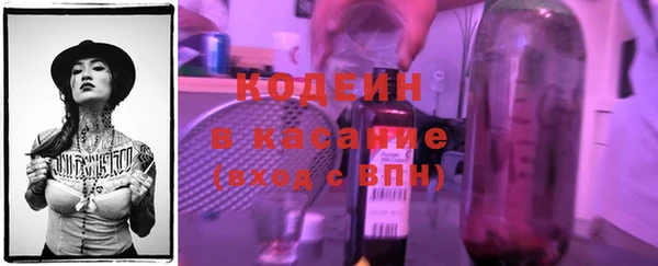 гидра Богданович