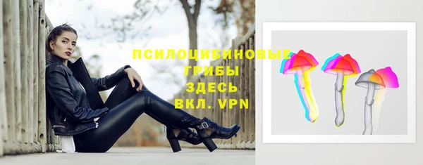 гидра Богданович