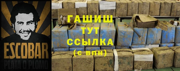 прущие грибы Богородск