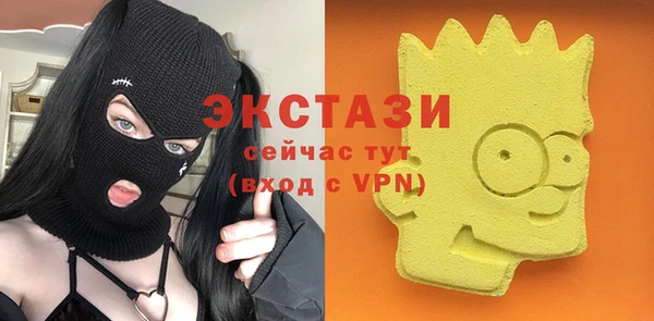 гидра Богданович
